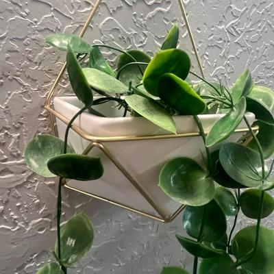 Wall Planters
