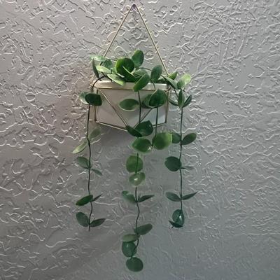 Wall Planters