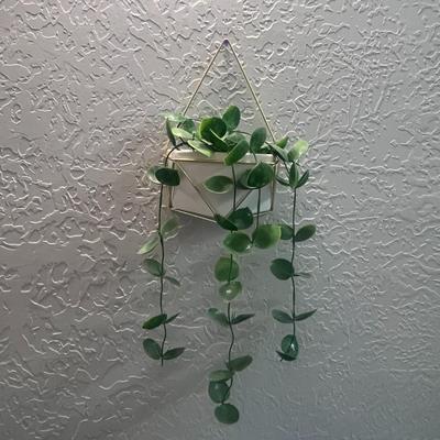 Wall Planters