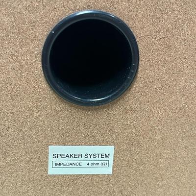 Audiovox Speaker Pair