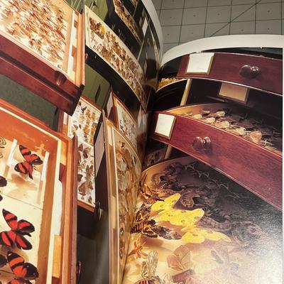 Treasures Of The Smithsonian