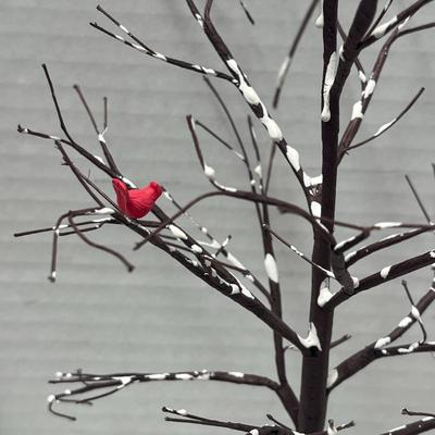 Christmas Scene Accessories