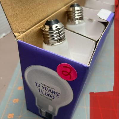 Large Lot of Assorted Light Bulbs