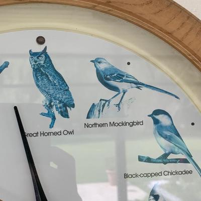 Bird Clock Audabaun Society