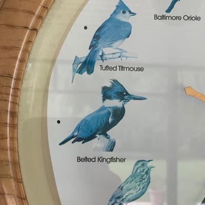 Bird Clock Audabaun Society