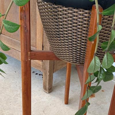 MCM Teak Planter w/ Plant