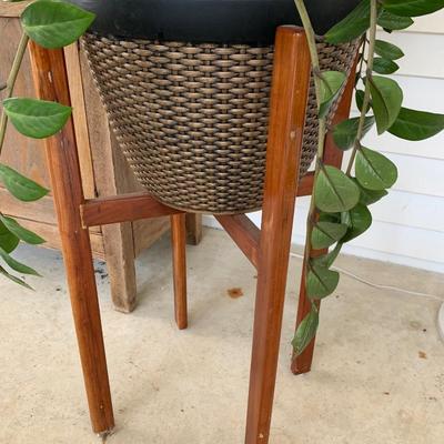 MCM Teak Planter w/ Plant