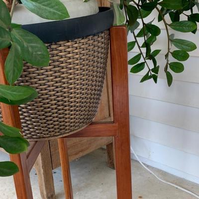 MCM Teak Planter w/ Plant