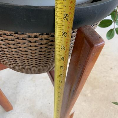 MCM Teak Planter w/ Plant