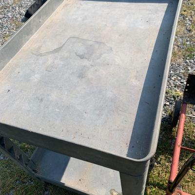 Utility Carts Lot