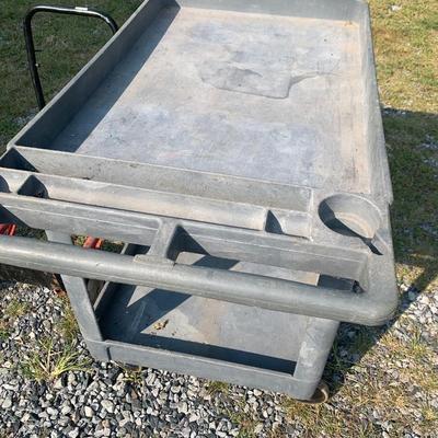 Utility Carts Lot