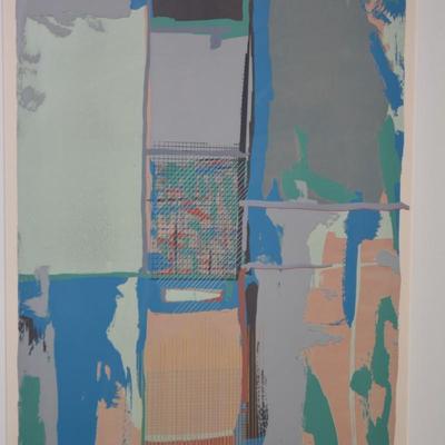 Framed & Matted ‘Screens’ Print 2/5 Signed Walt Bradshaw 33.75”x24”