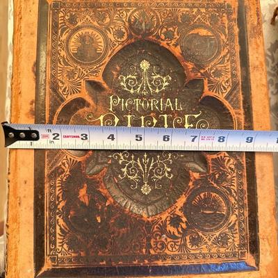 Large Pictorial Antique Bible #3