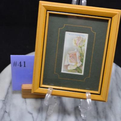 Vintage Framed Wills’s Cigarettes Roses Card, Mrs. Charles Lamplough