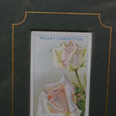 Vintage Framed Wills’s Cigarettes Roses Card, Mrs. Charles Lamplough