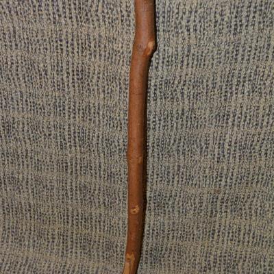 Vintage Knob-Head Walking Stick 39”