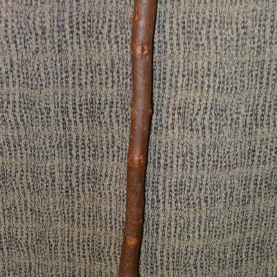 Vintage Knob-Head Walking Stick 39”