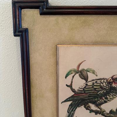 Vintage Wall Art of Birds