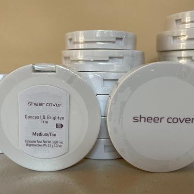 Sheer Cover - Conceal & Brighten Trio in Tan