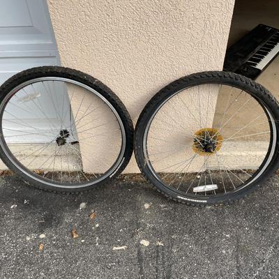 Pair of Bicycle Tires