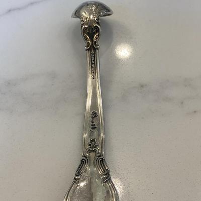 Silver- mustard ladle