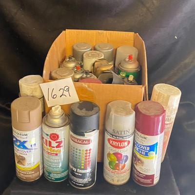 Spray paint Lot
