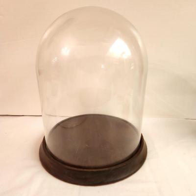 Lot#132 Display Dome on Wooden Base