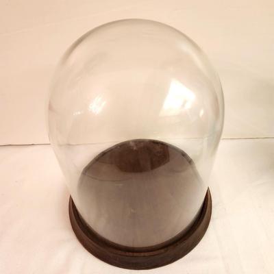 Lot#132 Display Dome on Wooden Base