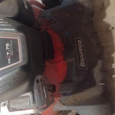 Snapper 20" Push Lawn Mower with Grass Catcher
