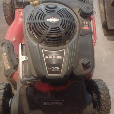 Snapper 20" Push Lawn Mower with Grass Catcher