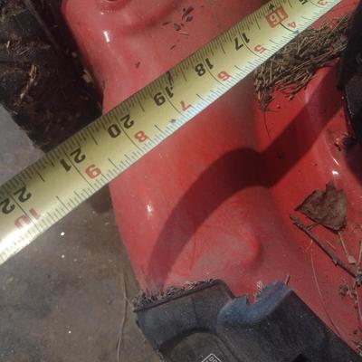 Snapper 20" Push Lawn Mower with Grass Catcher