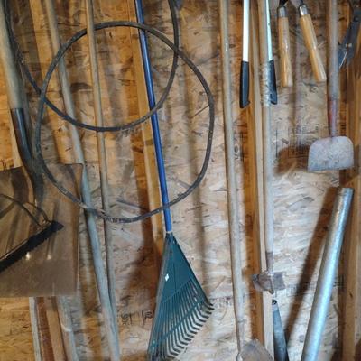 Collection of Garden Hand Tools