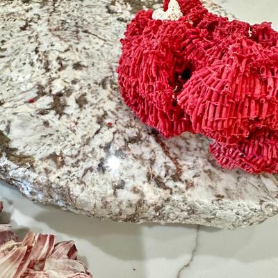 Marble Stand and Coral Decor