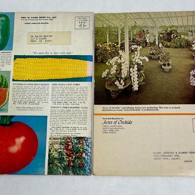 2 Vintage Flower Catalog Magazines
