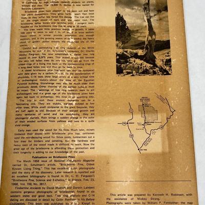 Bristlecone Pines Tour Handout - Maturango Museum
