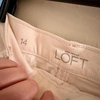 More Skirts!!! Size 14 and Large LOFT and WHBM