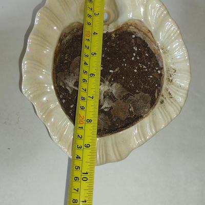 Vintage, Atlantic Mold Two Piece Glazed Ceramic African Violet Pot- Conch Shell Design