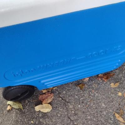 Set of Three Coolers Coleman and Igloo Brands