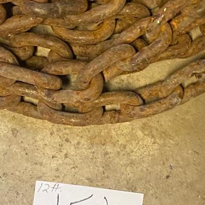 12’ Log Chain