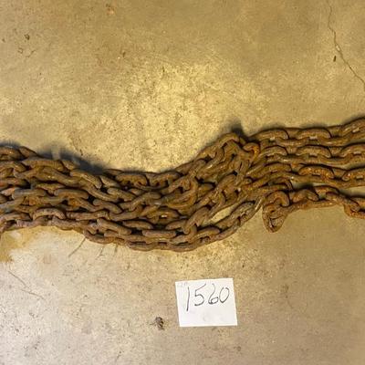 12’ Log Chain
