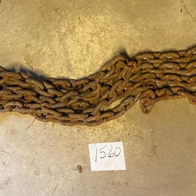 12’ Log Chain
