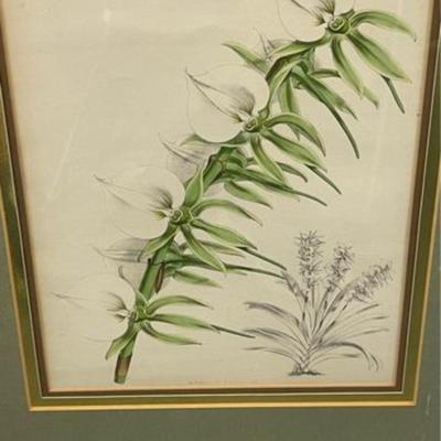 Floral Picture
