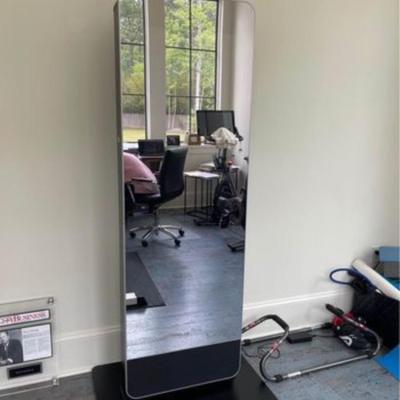 Nordic Trac Vault Mirror