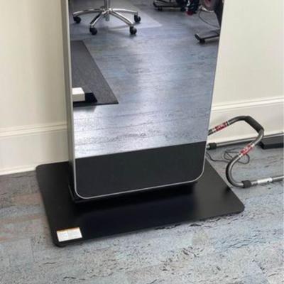 Nordic Trac Vault Mirror