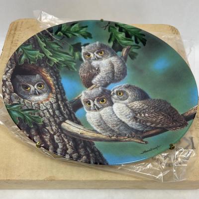 Owl Collector Plate Knowles Peeka Booo Screech Owls Thornburgh