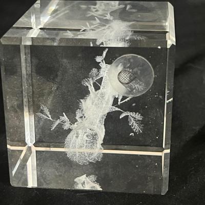3D Etched Glass Block Hummingbird, Squirrel & More (DR-MG)