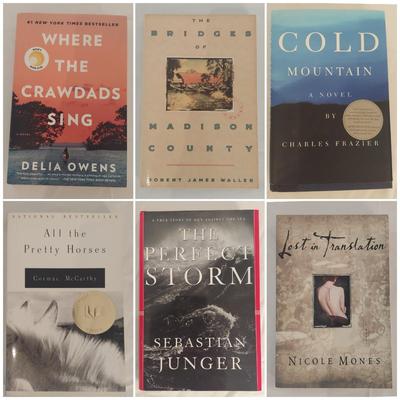 Fiction Novels Incl. Where The Crawdads Sing, Cold Mountain and More (LLR-BBL)