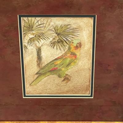 Framed John Richard botanicals