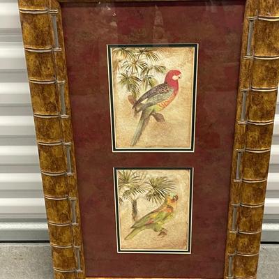 Framed John Richard botanicals