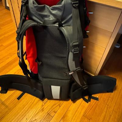 Dana Design Arcflex Astral plane Backpack - New